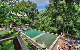 Bali Jungle Resort